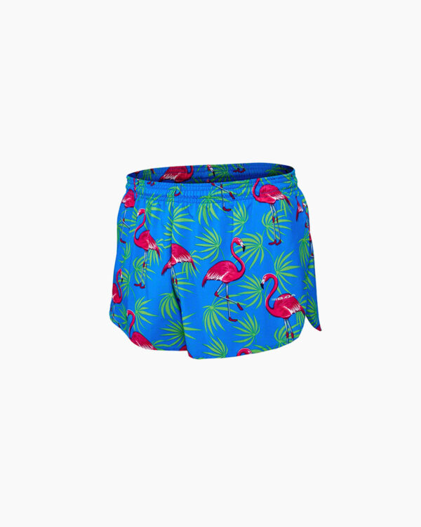 Falls Road Running Store - Mens Apparel - BOA Shorts - 3" Turquoise Flamingos