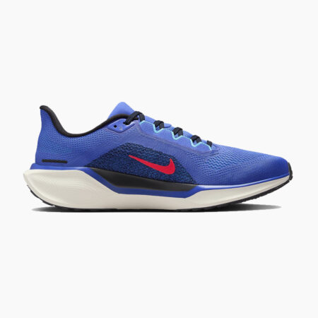 Falls Road Running Store - Mens Road Shoes - Nike Pegasus 41 - 401