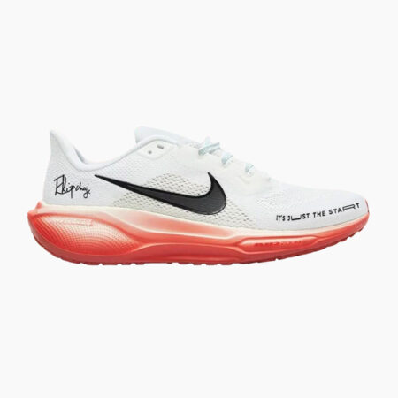 Falls Road Running Store - Mens Road Shoes - Nike Pegasus 41 EK - 100