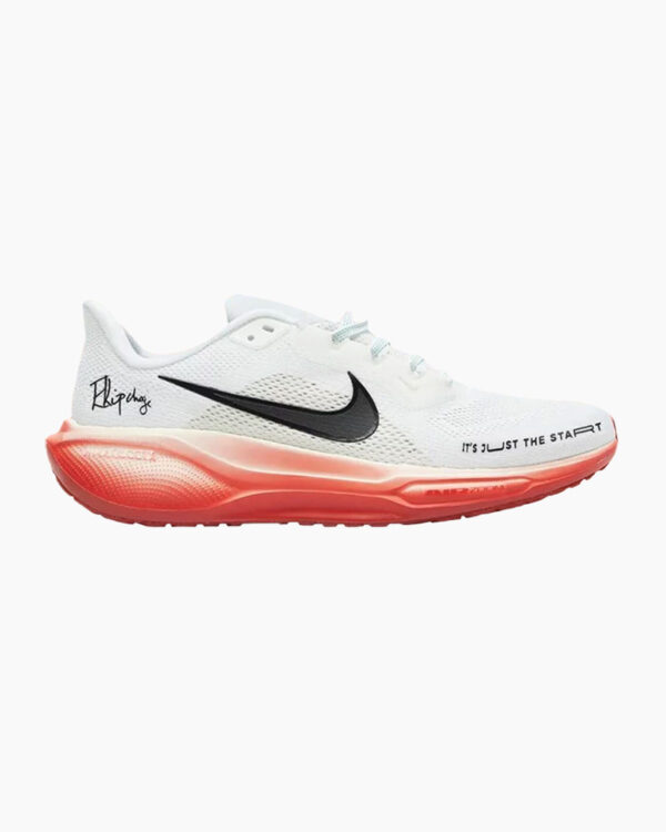 Falls Road Running Store - Mens Road Shoes - Nike Pegasus 41 EK - 100