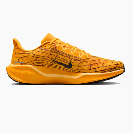 Falls Road Running Store - Mens Road Shoes - Nike Pegasus 41 LV8 - 700