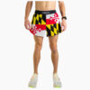 Maryland Flag